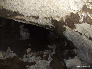 otta Petralia-17-03-2013 10-43-14